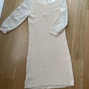Ann Taylor cream sweater dress with eyelet lace 3/4 sleeves